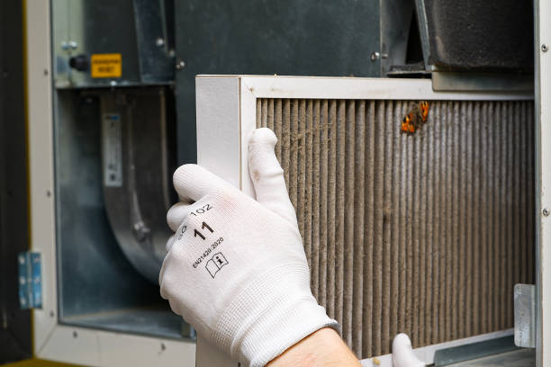 Best Best Air Duct Cleaning Company  in Tarrant, AL